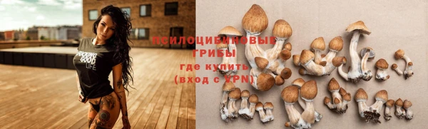 экстази Семикаракорск