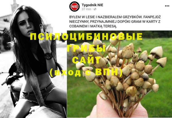 трава Слюдянка