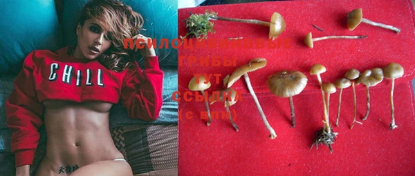 экстази Богданович