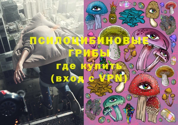 соль ск Богородск