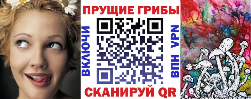 купить закладку  Кремёнки  Псилоцибиновые грибы GOLDEN TEACHER 